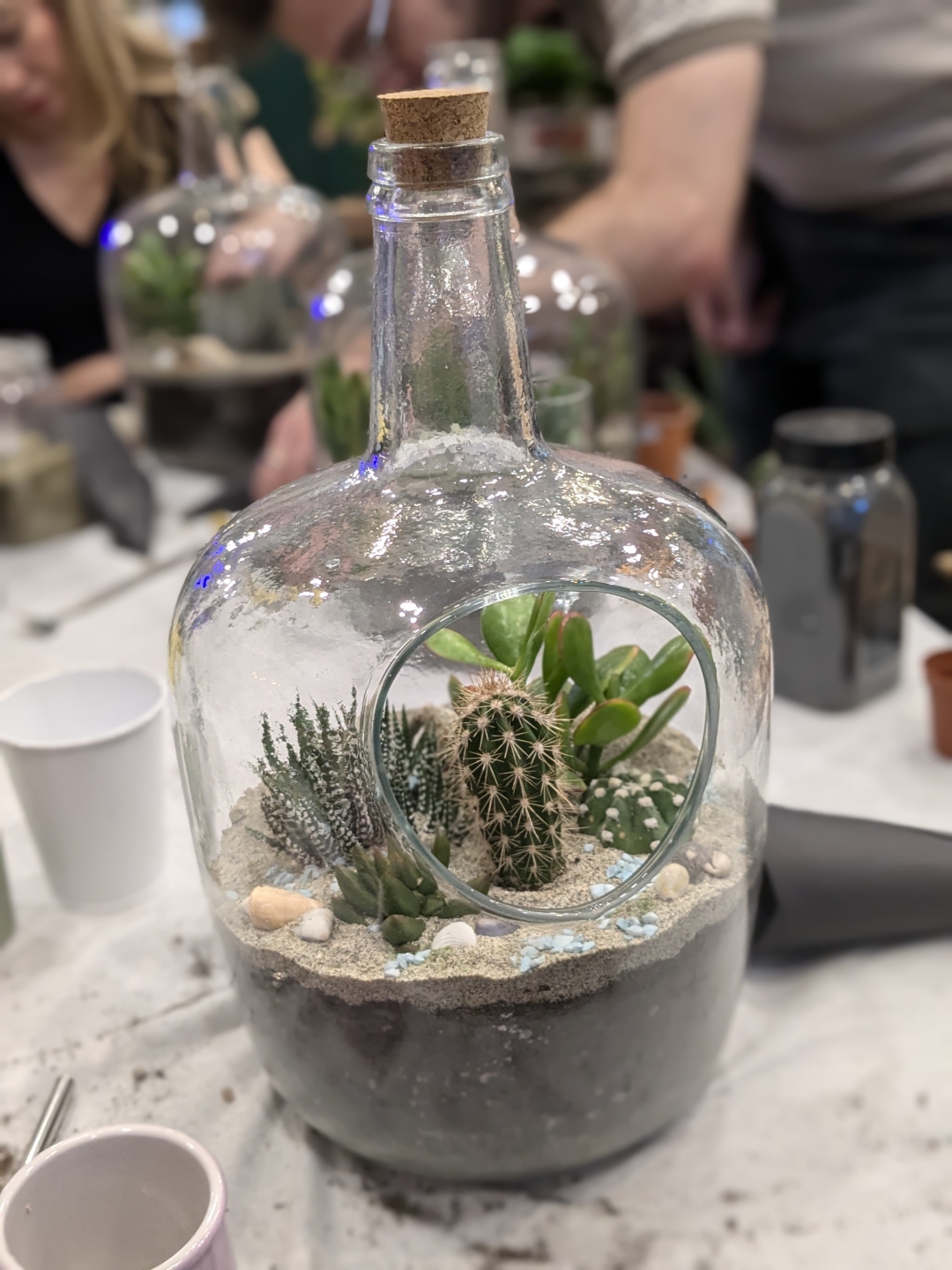 Terrarium Making Workshop