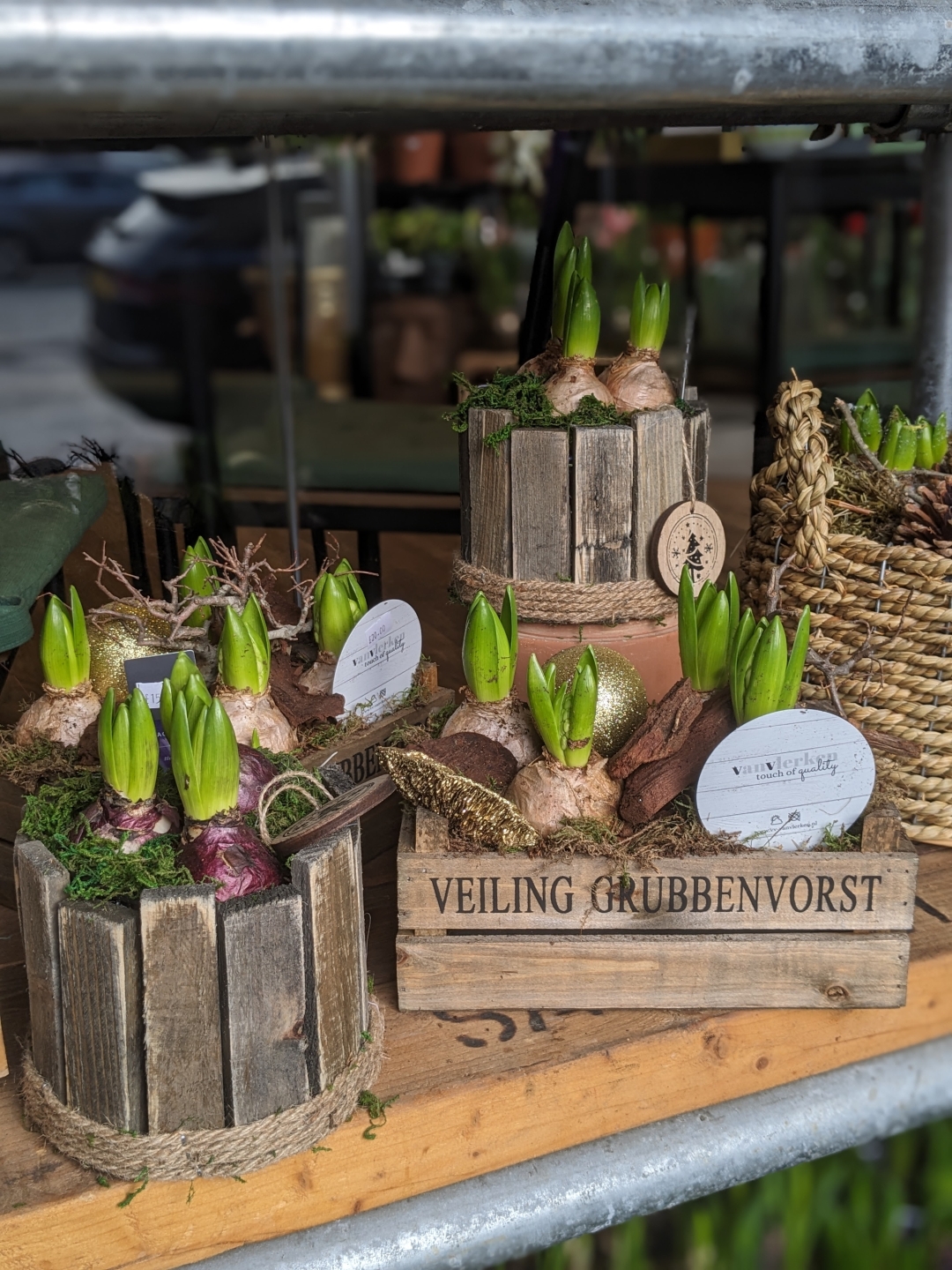 Spring Planter and Chocolate Making Workshop