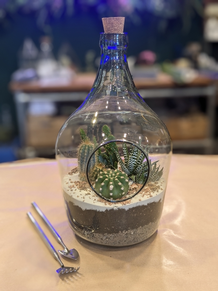Terrarium Making Workshop
