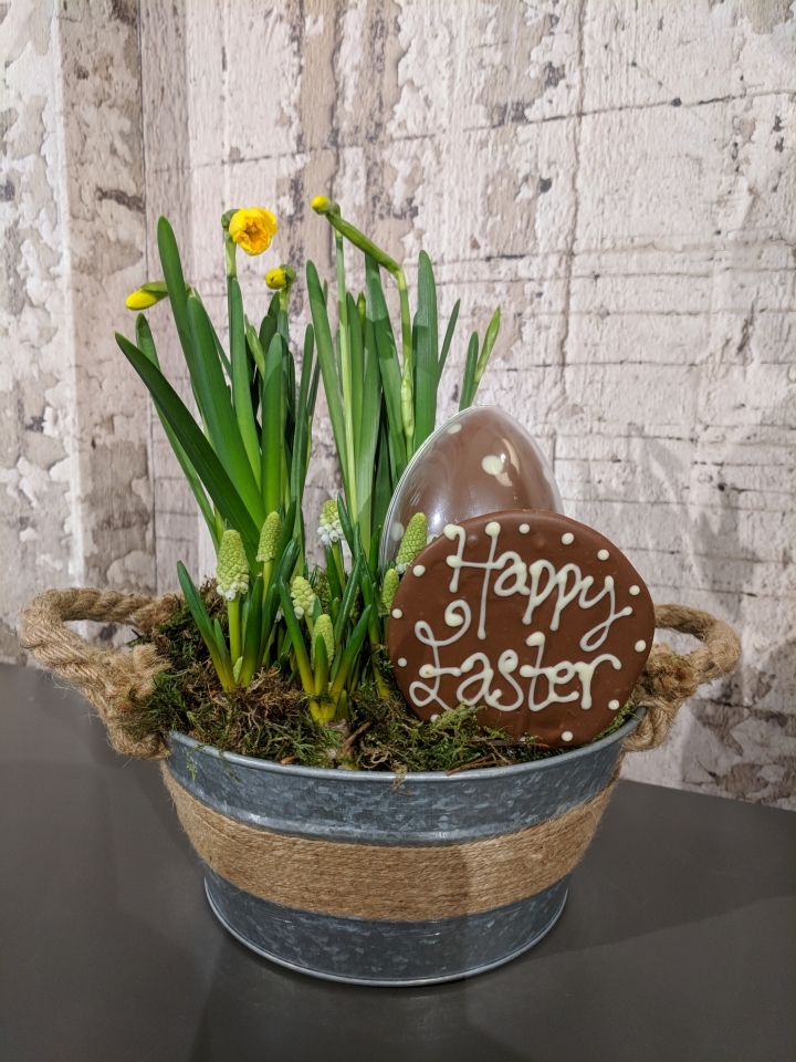 Spring Planter and Chocolate Making Workshop