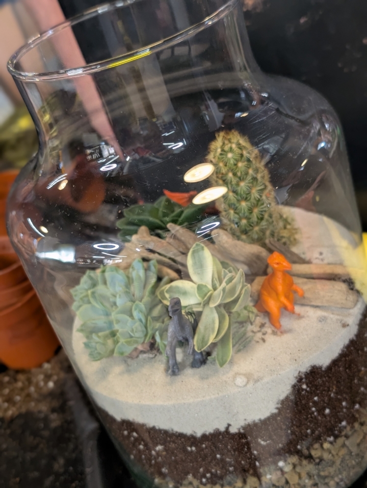 Jurassic themed Terrarium making workshop Sept 25th
